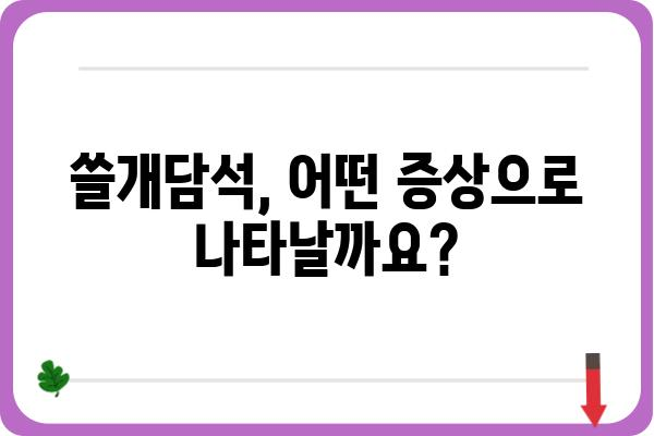 쓸개담석, 증상과 원인부터 치료까지 완벽 가이드 | 쓸개담석, 담석증, 통증, 치료법, 예방