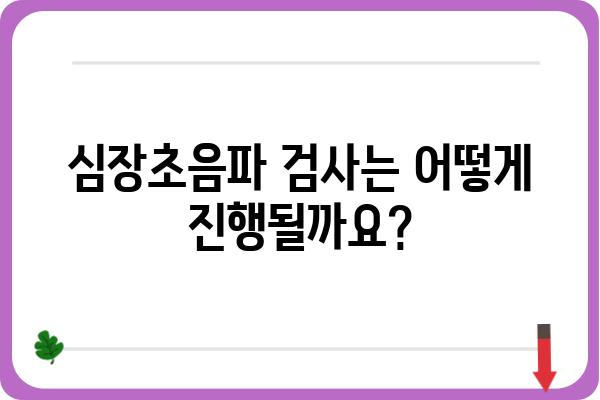 심장초음파 검사, 궁금한 모든 것 | 종류, 과정, 결과 해석, 주의사항