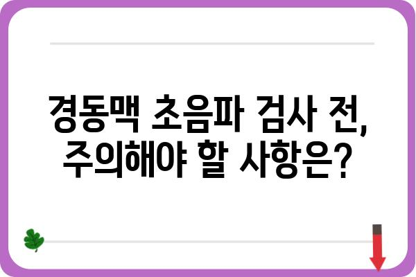 경동맥 초음파 검사| 건강 지표, 과정, 주의사항 | 뇌졸중, 심혈관 질환, 건강검진