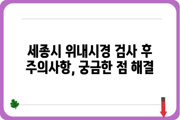 세종위내시경 검사| 준비부터 결과까지 | 위내시경, 건강검진, 소화기 질환, 세종시