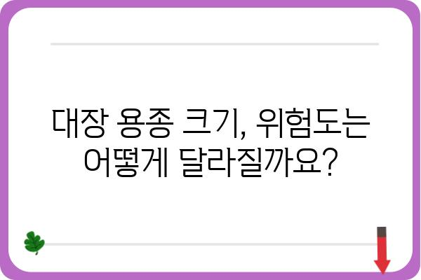 대장 용종 크기가 크다면? | 용종 종류, 크기별 위험도, 검사 및 치료