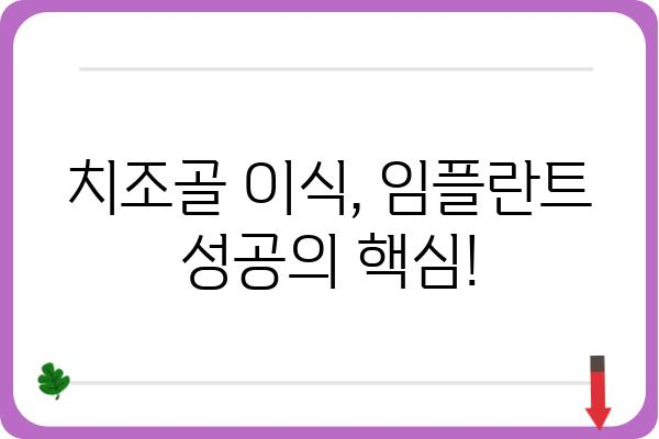 임플란트 치조골 보험, 궁금한 점 모두 해결! | 치조골 이식, 보험 적용, 비용, 절차, 주의사항