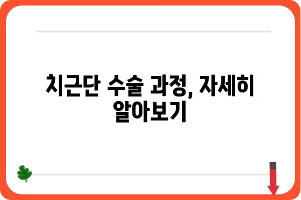 치근단 수술, 궁금한 모든 것| 치료 과정부터 주의사항까지 | 치근단 수술, 치근단 절제술, 신경치료, 치과