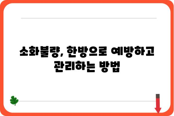 소화불량 해결사! 효과적인 한방 소화제 종류와 선택 가이드 | 소화불량, 한약, 소화제, 건강