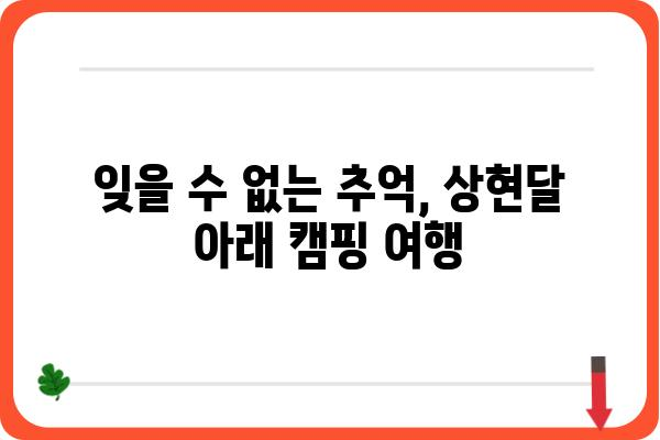 신시도 자연휴양림에서 맞이하는 상현달의 아름다움 | 캠핑, 별빛, 야경, 포토 스팟