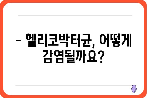 헬리코박터균 검사, 이것만 알면 끝! | 증상, 검사 종류, 치료, 예방까지 완벽 가이드