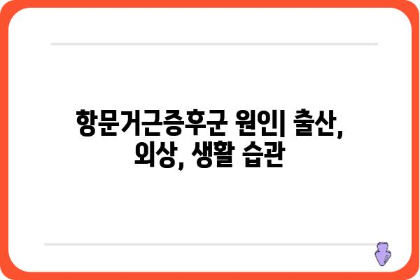 항문거근증후군 치료| 증상, 원인, 치료 방법 및 예방 가이드 | 항문 통증, 골반 통증, 요실금, 변비