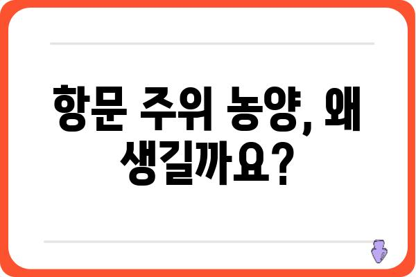 항문 주위 농양| 원인, 증상, 치료 및 예방 | 항문 질환, 농양, 치료법, 예방법