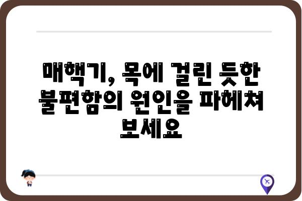 매핵기 치료| 원인 분석부터 효과적인 관리법까지 | 매핵기, 목 이물감, 치료, 관리