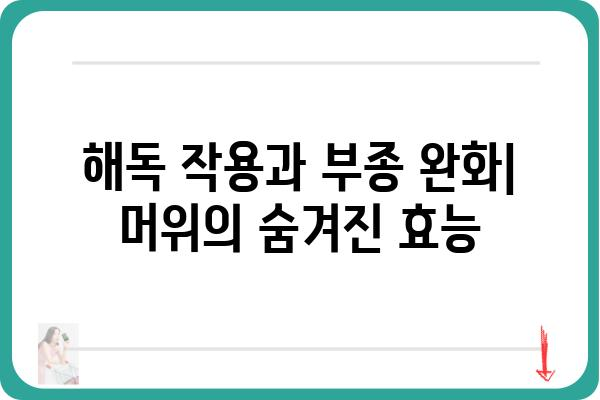 머위의 놀라운 효능 7가지 | 건강, 봄나물, 면역력, 항산화, 해독, 부종, 소화