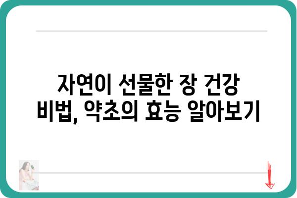 대장 건강에 좋은 약초 5가지 | 장 건강, 변비, 숙변 제거, 천연 약초, 건강 정보