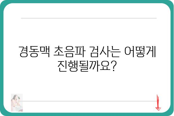 경동맥 초음파 검사| 건강 지표, 과정, 주의사항 | 뇌졸중, 심혈관 질환, 건강검진