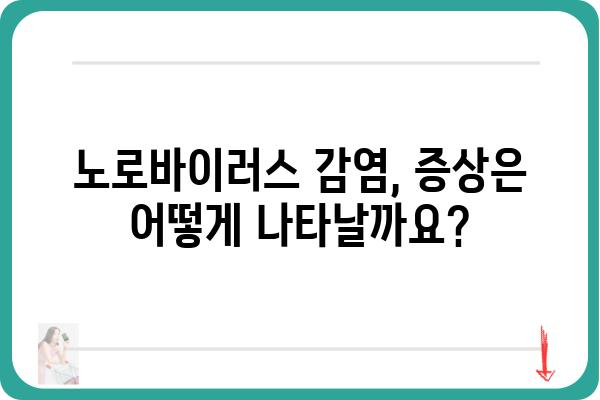 노로바이러스 감염, 예방부터 관리까지 완벽 가이드 | 위생, 증상, 치료, 식품 안전