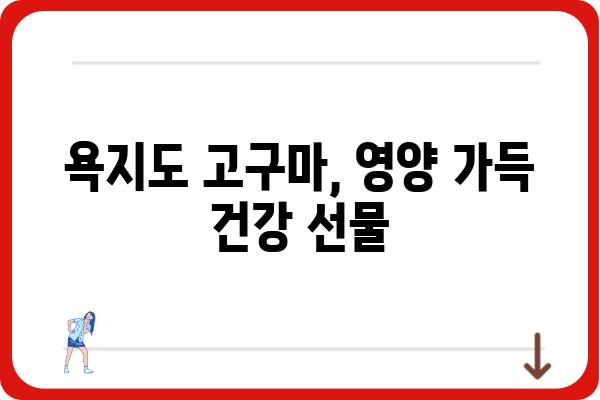 욕지도 고구마, 맛과 영양 가득! 믿을 수 있는 판매처 찾기 | 욕지도 고구마, 농장 직거래, 택배 주문, 선물