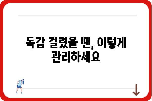 독감 예방 및 관리 가이드| 증상, 예방법, 치료법 | 독감, 독감 증상, 독감 예방, 독감 치료, 독감 백신