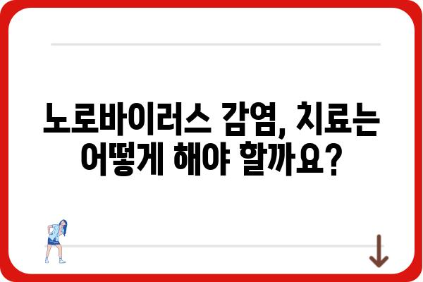 노로바이러스 감염, 예방부터 관리까지 완벽 가이드 | 위생, 증상, 치료, 식품 안전