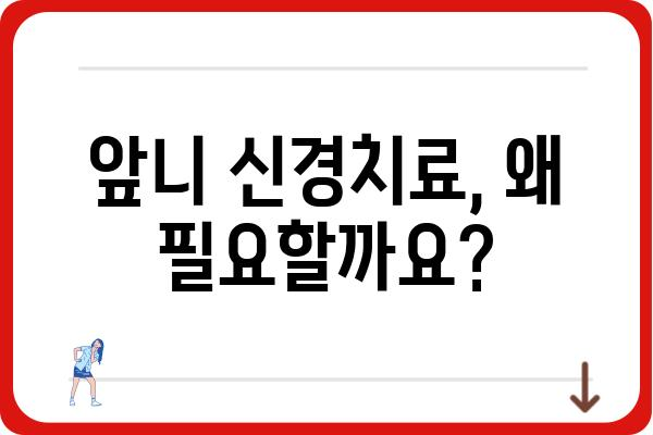 앞니 신경치료, 궁금한 모든 것 | 앞니, 신경치료, 치료 과정, 통증, 비용, 주의사항