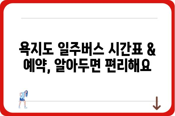 욕지도 일주버스 완벽 가이드 | 코스 추천, 시간표, 예약 정보, 꿀팁