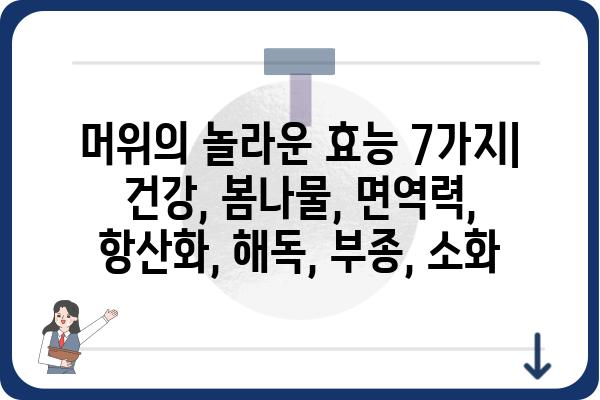 머위의 놀라운 효능 7가지 | 건강, 봄나물, 면역력, 항산화, 해독, 부종, 소화