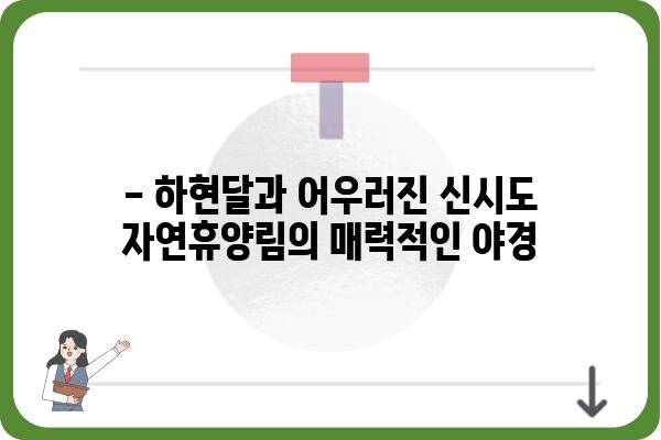 신시도자연휴양림 하현달 아래 펼쳐지는 밤의 매력 | 신시도, 자연휴양림, 야경, 별밤