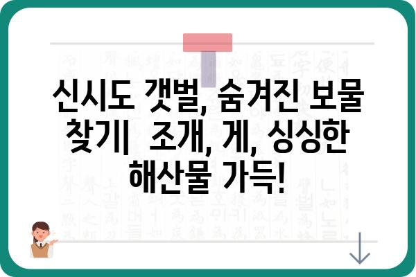 신시도 해루질 명당 & 팁| 갯벌 체험과 싱싱한 해산물 만나기 | 신시도, 해루질, 갯벌, 썰물, 조개, 게, 낚시