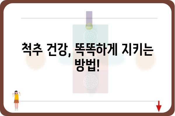 척추 건강 지키는 똑똑한 선택! 척추치료기 추천 가이드 | 척추통증, 척추질환, 건강 관리, 추천