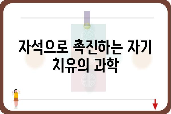 자석요법의 모든 것| 원리, 효능, 주의사항 | 건강, 통증 완화, 자기 치유