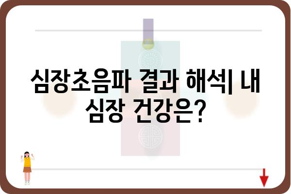 심장초음파검사, 궁금한 모든 것 | 종류, 준비사항, 결과 해석, 주의사항