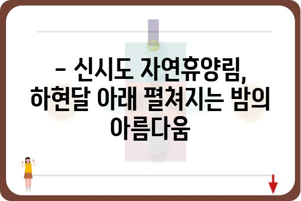 신시도자연휴양림 하현달 아래 펼쳐지는 밤의 매력 | 신시도, 자연휴양림, 야경, 별밤