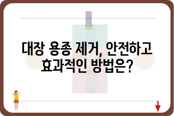 대장 용종 제거, 알아야 할 모든 것 | 종류, 증상, 치료, 예방, 후기