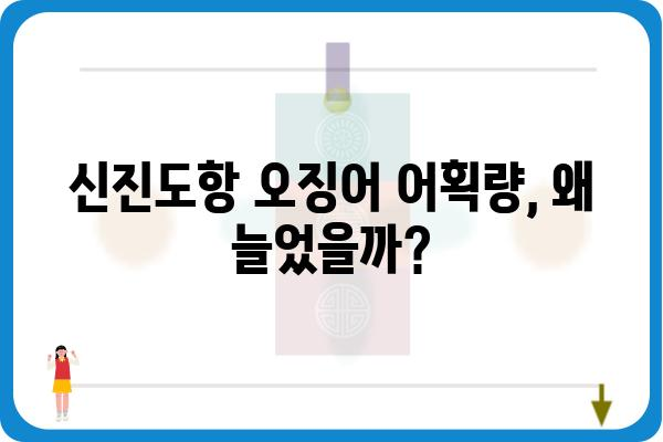 신진도항 오징어| 어획량 증가의 비밀 | 어업, 수산업, 오징어 어획, 통계 분석