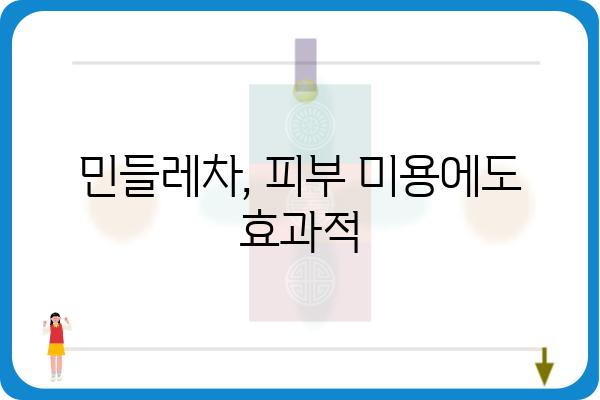 민들레차 효능 총정리| 건강, 미용, 부작용까지 | 민들레, 차, 효능, 부작용, 건강