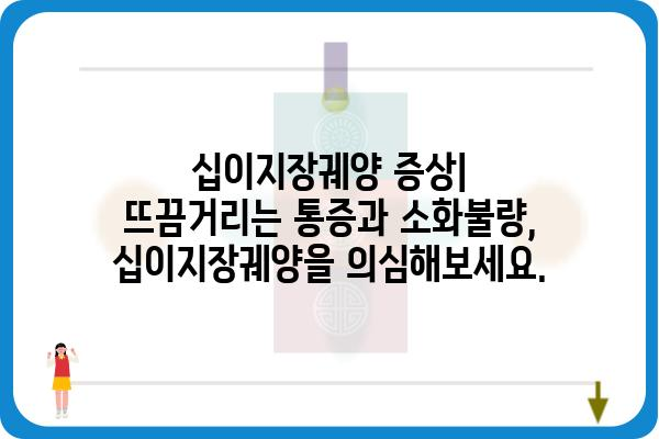 십이지장궤양, 원인부터 치료까지| 알아야 할 모든 것 | 소화불량, 위 통증, 십이지장, 증상, 치료법, 예방