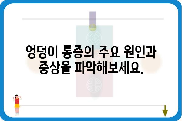 항문 통증, 원인과 치료| 알아야 할 모든 것 | 항문 통증, 원인, 치료, 증상, 예방