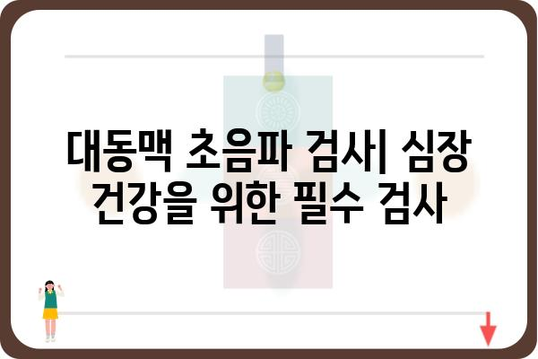 대동맥 초음파 검사| 알아야 할 모든 것 | 심장 건강, 검사 절차, 결과 해석, 주의 사항