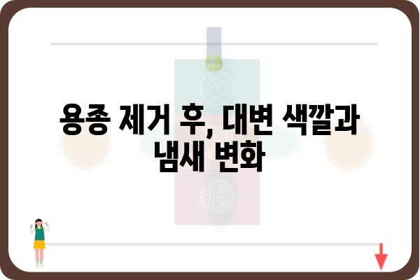 대장 용종 제거 후 변화되는 대변| 궁금한 점과 주의 사항 | 용종 제거, 대변 변화, 회복 과정, 주의 사항