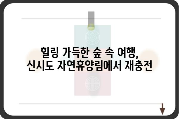 신시도 자연휴양림| 힐링 가득한 숲 속 여행 | 충남 서천, 자연휴양림, 캠핑, 산책, 등산