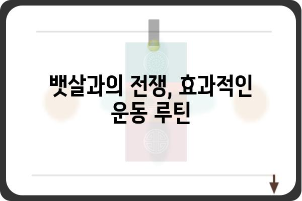 뱃살 빼는 가장 효과적인 방법 5가지 | 뱃살, 복부비만, 다이어트, 운동, 식단