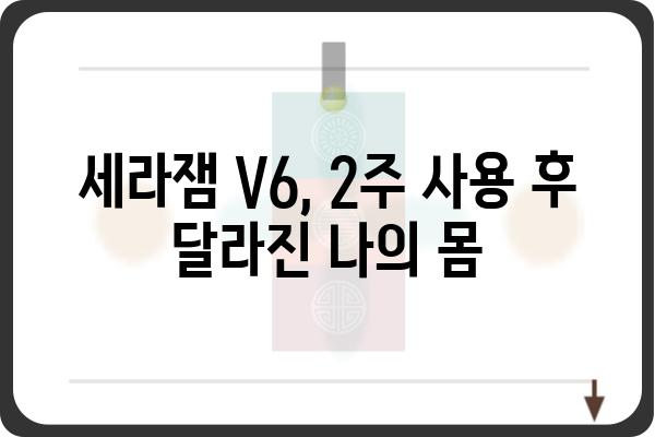 세라잼 V6 마사지 체험 후기| 솔직한 사용 경험 공유 | 세라잼 V6, 마사지기 효과, 건강 관리, 후기