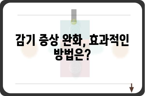 감기 빨리 낫는 법 |  겨울철 감기 예방, 증상 완화, 효과적인 치료법