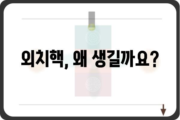 외치핵, 제대로 알아보기| 증상, 원인, 치료 | 척추, 통증, 신경, 요통, 좌골신경통