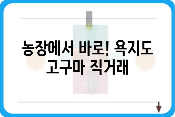 욕지도 고구마, 맛과 영양 가득! 믿을 수 있는 판매처 찾기 | 욕지도 고구마, 농장 직거래, 택배 주문, 선물