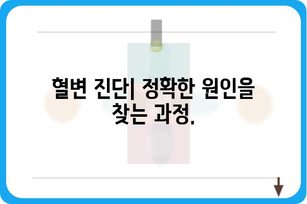 혈변 원인과 증상| 놓치면 안 될 중요한 신호 | 건강, 위험, 진단, 치료