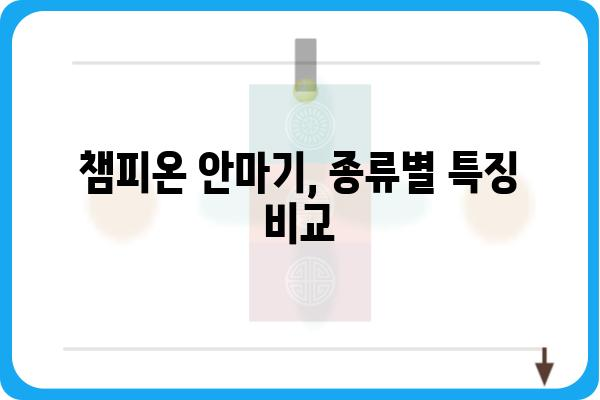 챔피온 안마기 제품 비교분석| 나에게 딱 맞는 안마기를 찾아보세요! | 안마기 추천, 챔피온 안마기 리뷰, 기능 비교