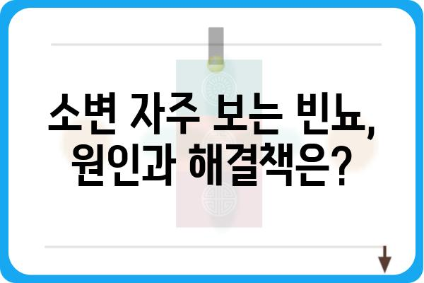 소변이 자주 마려운 이유, 혹시 이것 때문일까요? | 빈뇨, 야뇨증, 방광염, 건강 정보