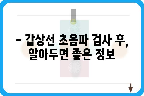 갑상선 초음파, 어디서 받아야 할까요? | 갑상선 초음파 잘하는 병원 찾기, 지역별 추천