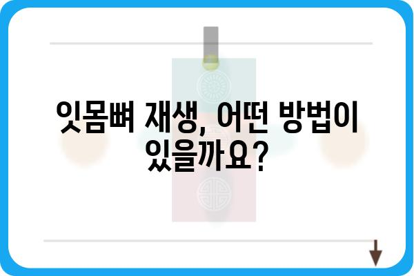 잇몸뼈 재생, 이렇게 하면 가능할까요? | 잇몸뼈 이식, 잇몸뼈 재건, 치주 질환 치료