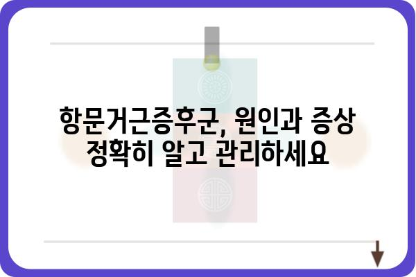 항문거근증후군 완화를 위한 운동 및 생활 습관 개선 가이드 | 골반저 근육, 요실금, 변비, 통증 완화