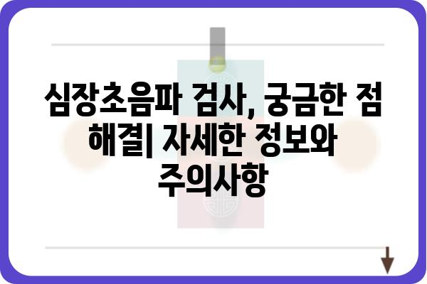 강남 심장초음파 잘하는 곳 | 추천 병원, 검사 비용, 예약 정보