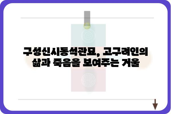 구성신시동석관묘| 고구려 무덤의 비밀을 밝히다 | 고구려, 무덤, 역사, 유적, 발굴